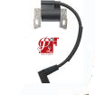ΗΛΕΚΤΡΟΝΙΚΟ  ΚΙΝΗΤΗΡΑ  BRIGGS & STRATTON  DOV  750